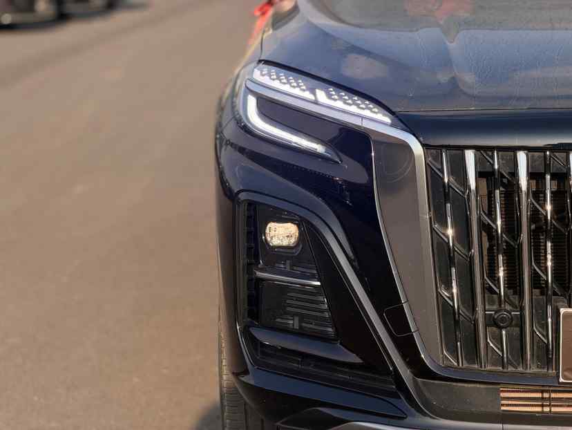 红旗HS3 PHEV 2024款 115km 劲为版(4)