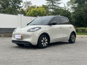 五菱汽车 五菱缤果 2023款 333km 悦享+款