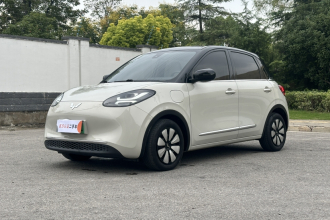 五菱汽车 五菱缤果 2023款 333km 悦享+款