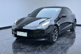 特斯拉 Model 3 2021款 Performance高性能全轮驱动版