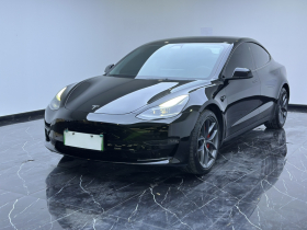 特斯拉 Model 3 2021款 Performance高性能全轮驱动版