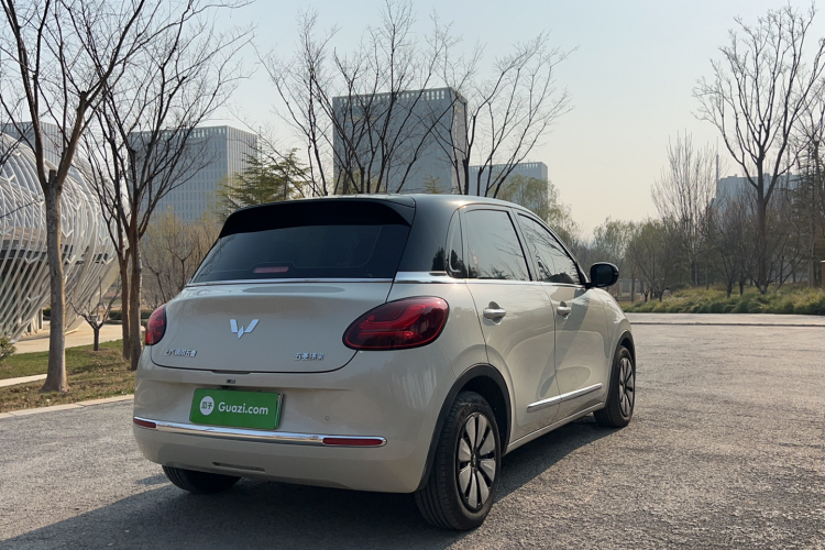 五菱汽车 五菱缤果 2023款 333km 悦享+款车身外观6004