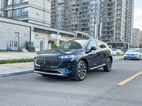 魏牌 摩卡 2021款 2.0T 四驱特醇版