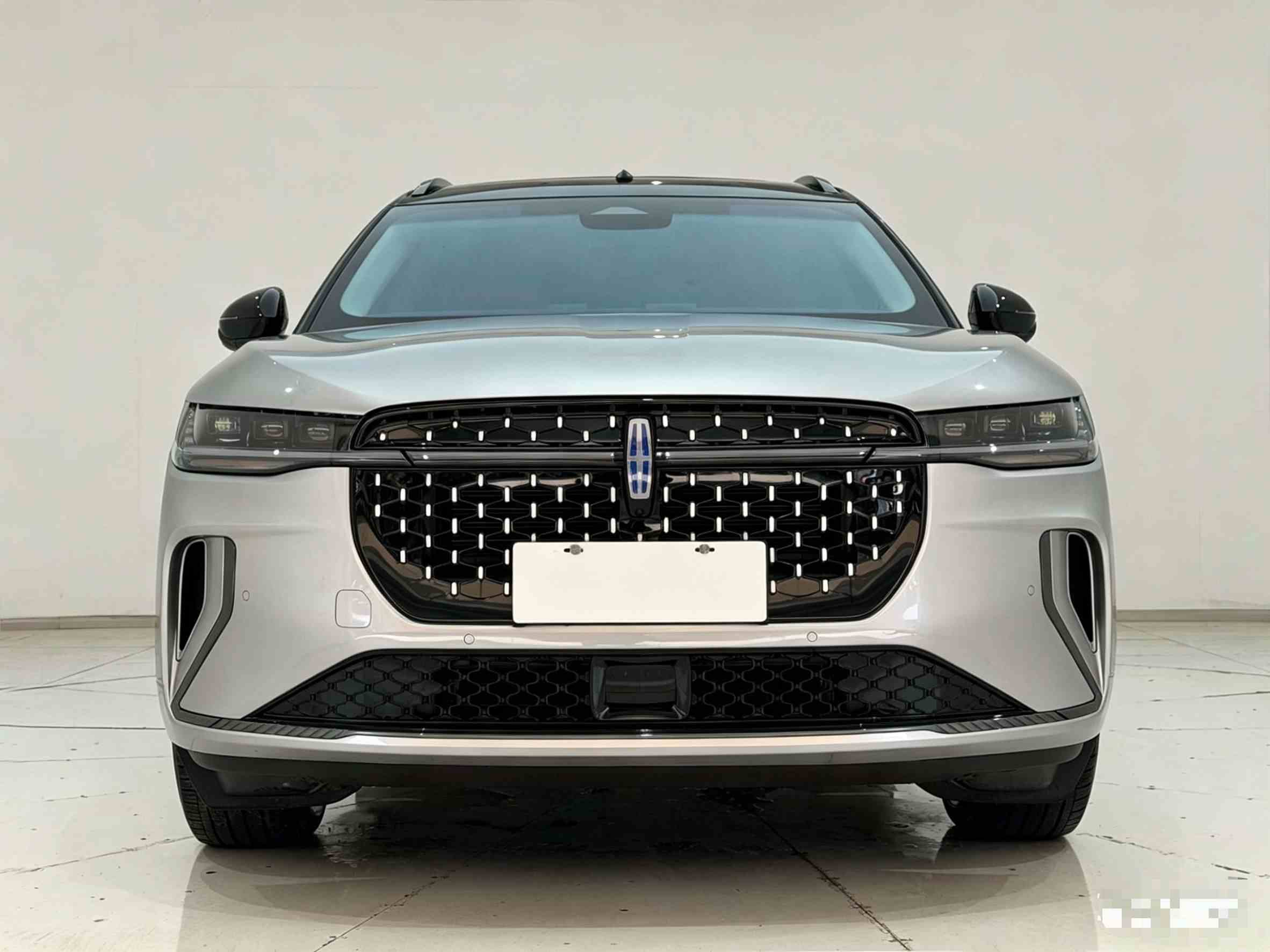 林肯 航海家 2023款 2.0T 四驱尊睿混动版(2)