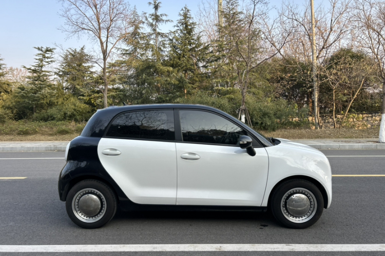 欧拉黑猫 2021款 301km 基础型车身外观6003