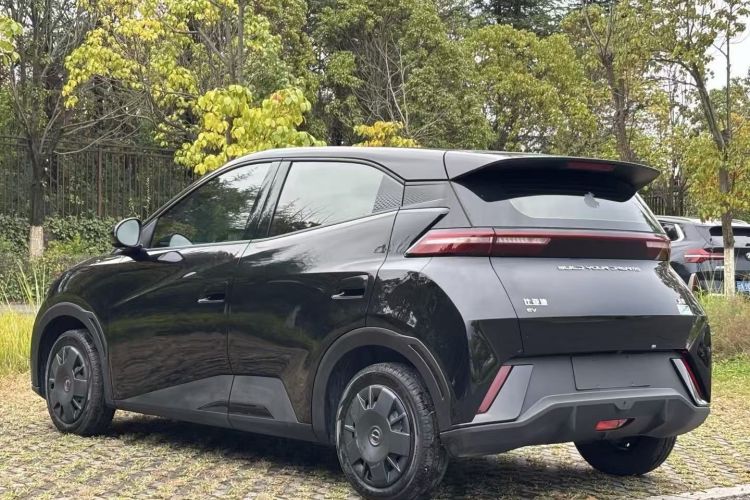 比亚迪 海鸥 2023款 活力版车身外观6011