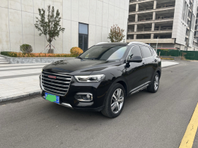 哈弗H6 2018款 红标 2.0T 自动豪华型