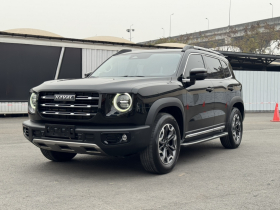 哈弗大狗 2022款 2.0T DCT四驱中华田园犬版