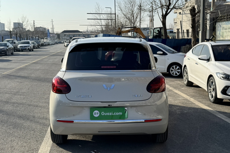 五菱汽车 五菱缤果 2024款 333km 悦享款车身外观6005