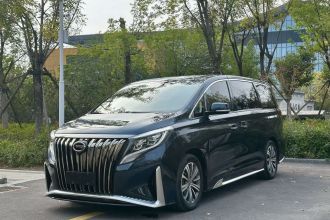 广汽传祺 传祺M8 2020款 大师版 390T 尊贵版