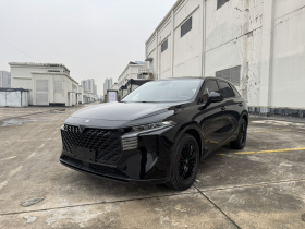 启辰大V 2022款 260T 黑马版·爱豆