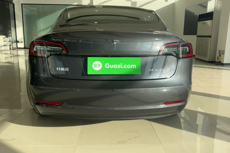 特斯拉 Model 3 2019款 标准续航后驱升级版车身外观6006