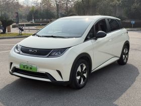 比亚迪 海豚 2024款 荣耀版 420km 自由版