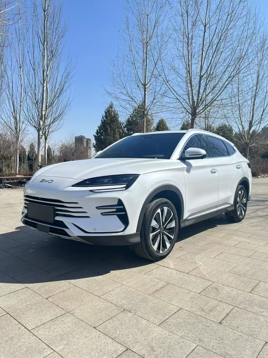 2025款 宋PLUS新能源 DM-i 112KM 尊荣型图片
