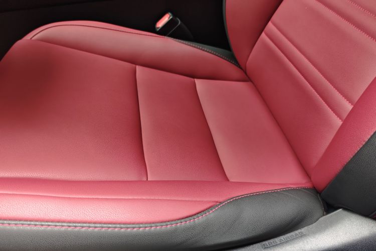 雷克萨斯NX 2020款 300h 前驱 锋尚版 国VI局部细节9006