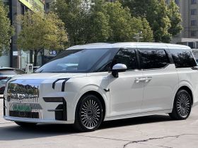 极氪009 2022款 WE版