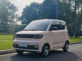 五菱汽车 宏光MINIEV 2022款 马卡龙臻享款 磷酸铁锂