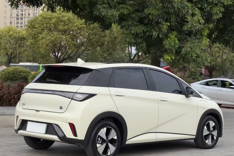 比亚迪 海豚 2023款 420km 时尚版车身外观6005