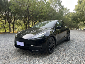 特斯拉 Model Y 2021款 Performance高性能全轮驱动版