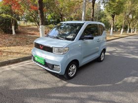 五菱汽车 宏光MINIEV 2020款 自在款 磷酸铁锂