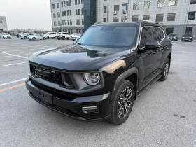 哈弗大狗 PLUS 新能源 2023款 DHT-PHEV 105km 潮电版Plus