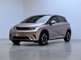 比亚迪 海豚 2021款 405km 时尚版