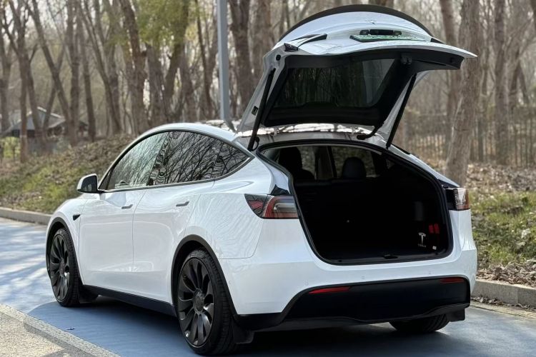 特斯拉 Model Y 2022款 Performance高性能全轮驱动版车身外观6008