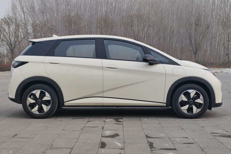 比亚迪 海豚 2025款 420km 自由版车身外观6003