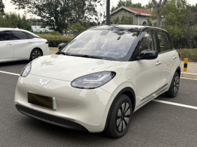 五菱汽车 五菱缤果 2025款 333km 悦享款