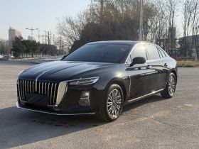 红旗H5 2025款 1.5T DCT旗韵版