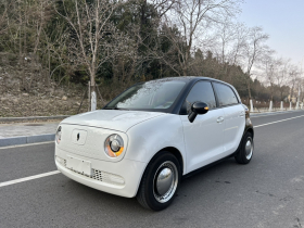 欧拉黑猫 2021款 301km 基础型