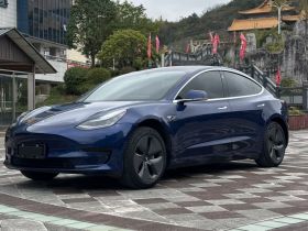 特斯拉 Model 3 2019款 标准续航后驱升级版
