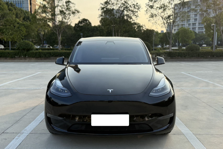 特斯拉 Model Y 2021款 标准续航后驱版车身外观6007
