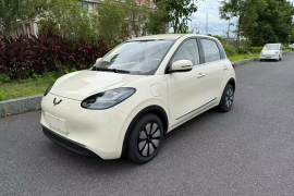 五菱汽车 五菱缤果 2025款 333km 悦享款