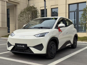 比亚迪 海鸥 2025款 智驾版 305km 活力版