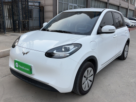 五菱汽车 五菱缤果 2024款 203km 轻享款