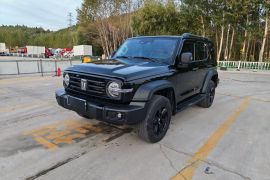 坦克300 2024款 2.0T 挑战者