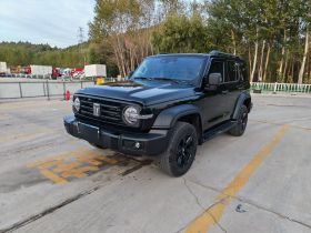 坦克300 2024款 2.0T 挑战者