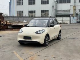 五菱汽车 五菱缤果 2025款 333km 灵犀互联款