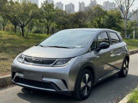 比亚迪 海豚 2023款 420km 时尚版