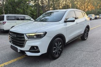 哈弗H6 2021款 国潮版 1.5T 自动都市版