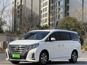 广汽传祺 传祺M8 2020款 领航款 390T 尊贵版