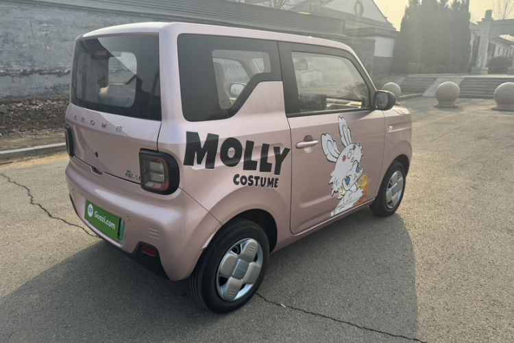 吉利银河 2024款 熊猫mini 200km 耐力熊车身外观6001