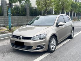 大众 高尔夫 2016款 230TSI 自动舒适型