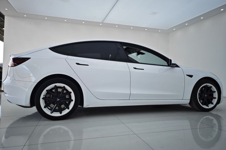 特斯拉 Model 3 2021款 标准续航后驱升级版 3D6车身外观6009