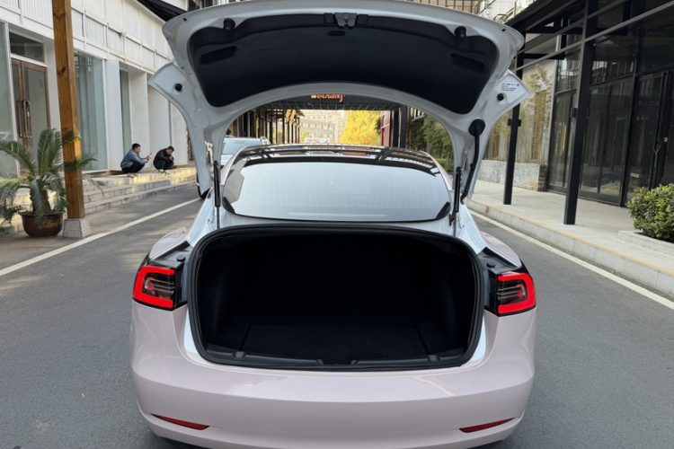 特斯拉 Model 3(进口) 2019款 长续航全轮驱动版局部细节23