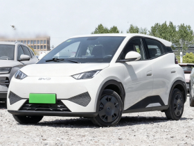 比亚迪 海鸥 2025款 智驾版 305km 活力版