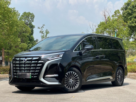 腾势D9 2024款 DM-i 980 四驱尊荣型