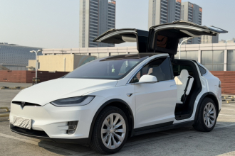特斯拉 Model X 2019款 长续航版