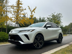丰田 威飒 2023款 2.0L CVT两驱尊贵版